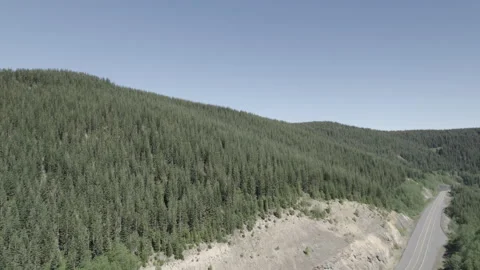 Mount St Helens Trees Approach Stock-Footage 206279362