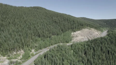 Mount St Helens Trees Drone Pan to the Right 库存影片 206310428
