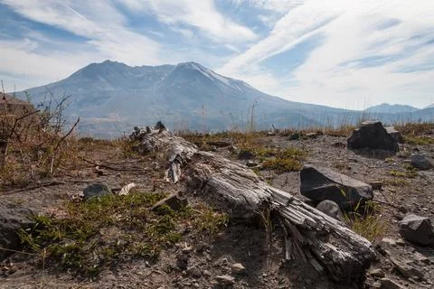 Mount St. Helens volcano with rugged landscape in foreground Stock Photos