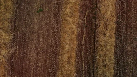 Mount Tabor Drone Stock Footage 169364515