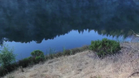 Mount Tam Watershed Stock Footage 82471940