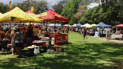 Mount Tamborine, QLD/Australia - NOVEMBER 11 2018 - Mount Tamborine Markets Stock Footage 106317559