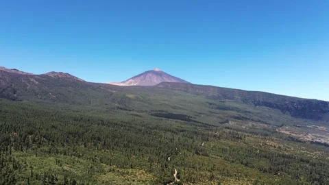 Mount Teide in the Distance and Pine Forest, Tenerife Spain Video stock 330271933