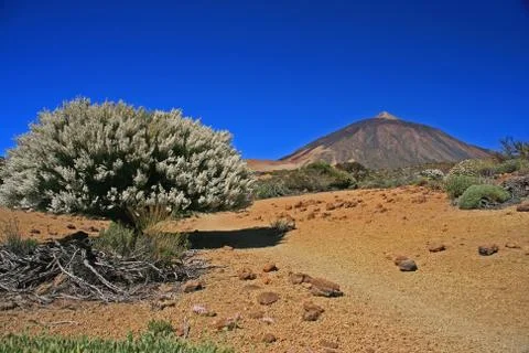 Mount teide 写真素材
