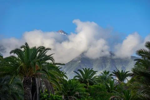 Mount Teide Puerto de la Cruz Tenerife Canary Islands Spain Europe Stock Photos