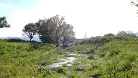 Mount Tuscolo 스톡 동영상 154503130