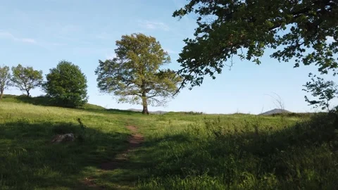 Mount Tuscolo 스톡 동영상 154503189