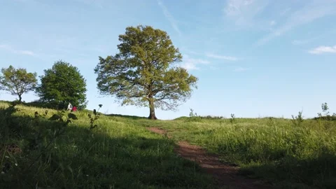 Mount Tuscolo 스톡 동영상 154503447