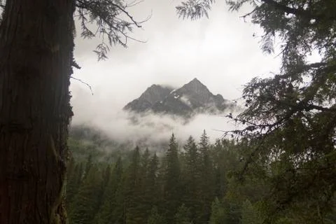 Mount Vaught from Highway to the Sun Foto stock
