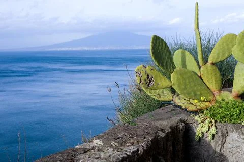 Mount Vesuvius Stock Photos