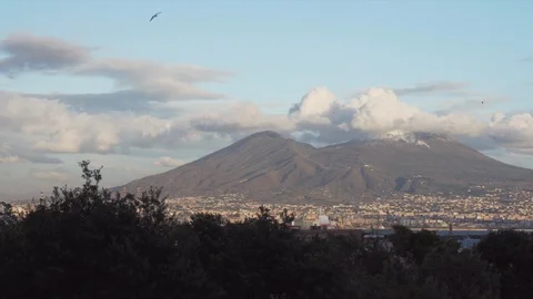 Mount Vesuvius at the sunset and trees Stock Footage 109407580
