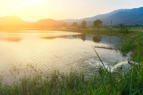 Mount Warning river sugar cane and sun Stock Photos