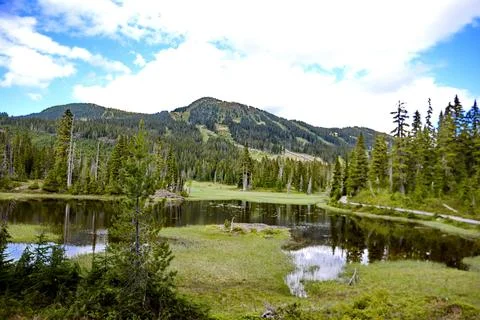 Mount Washington viewed from Strathcona Provincial Park Stock Photos