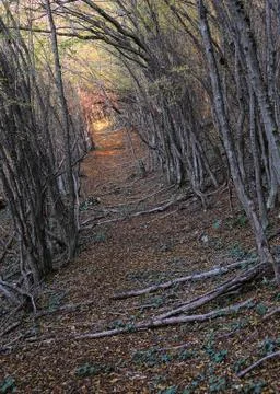 Mountai Footpath Stock Photos
