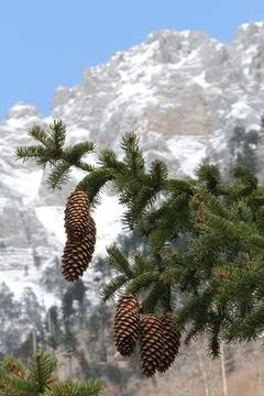 Mountain 01 Foto stock