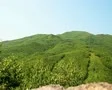 Mountain-1 SD Footage