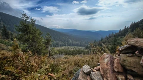 Mountain 4K timelapse with forest Video stock 67896579