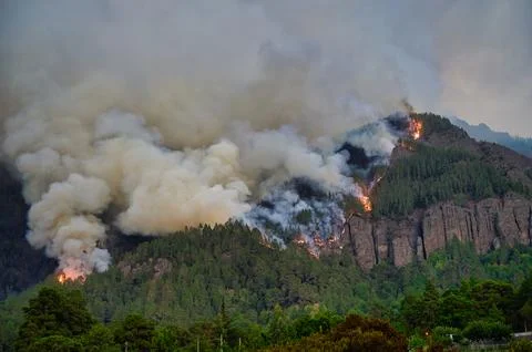 Mountain ablaze with forest fire. Stock Photos