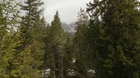 Mountain aerial drone view Stock Footage 236856096