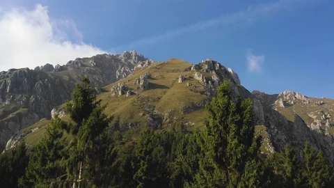 Mountain aerial view while the drone lands behind the trees Video stock 116433942