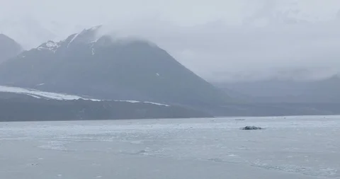 Mountain in Alaska Stock Footage 92899476