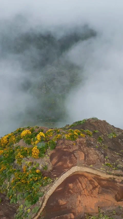Mountain Altitude, Low-Cloud Mists, Island Landscapes, Vertical Aerial 库存影片 336814525