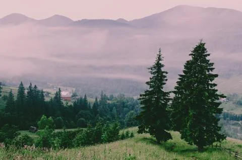 Mountain amazinf landscape Фото
