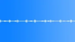 Mountain ambience owls distant coyote 01 loop Sound Effect