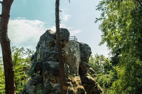 A mountain among trees Stock Photos