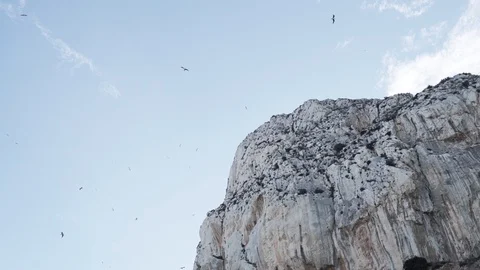 Mountain and birds cut in Stock Footage 89684659