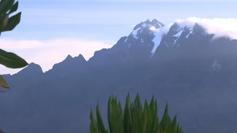 Mountain and camera pans to plants in foreground Stock Footage 119349036