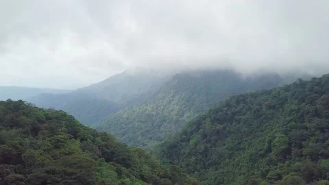 Mountain and cloud in jungle forest Stock Footage 176640321