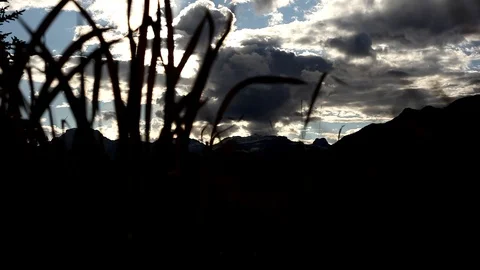 Mountain and clouds trough grass Stock Footage 101987104