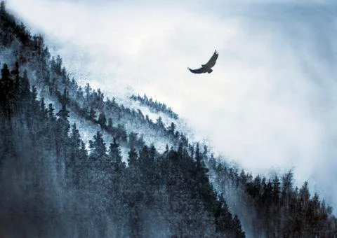 Mountain and Eagle Stock Illustration