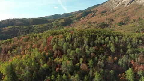 Mountain and fall colors 動画素材 296795286