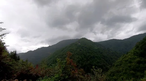Mountain and forest 库存影片 94994205
