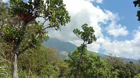 Mountain and forest Stock Footage 283543983