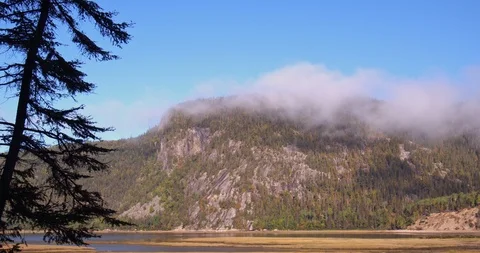 Mountain and forest  panning movement  footage Stock Footage 116788713