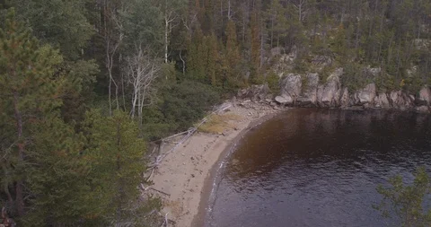 Mountain and forest  panning movement  footage Stock Footage 116789582