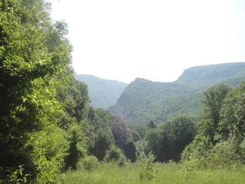 Mountain and forest Stock Photos