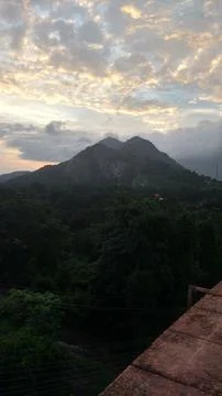 Mountain and Forest 写真素材