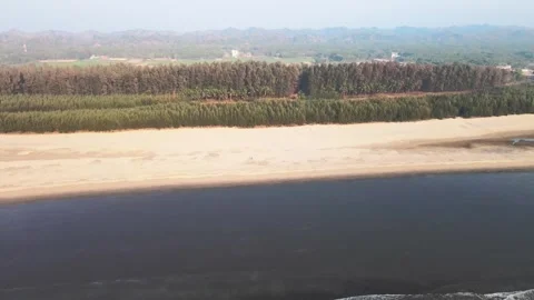 Mountain and Forest by the sea Stock Footage 240913373