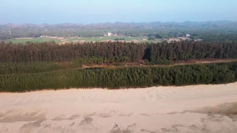 Mountain and Forest by the sea Stock Footage 240913407