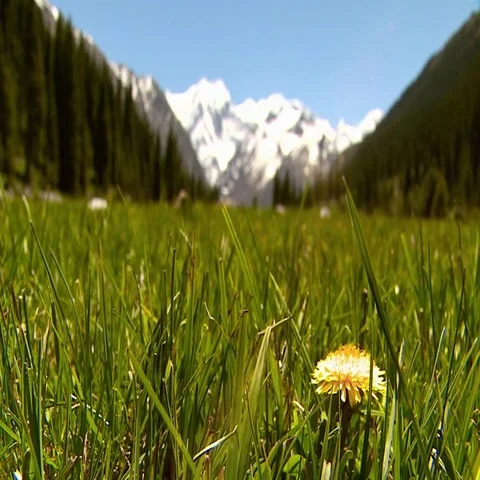 Mountain and grass Stock Footage 69544795