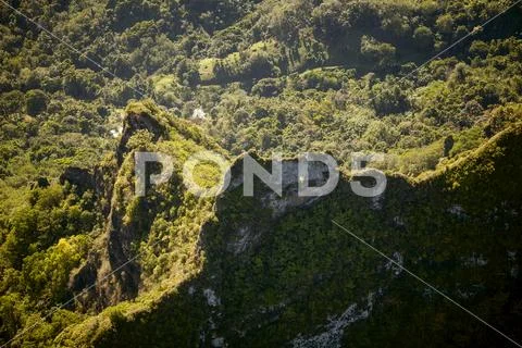 Mountain and Jungle Terrain Moorea Island French Polynesia Stock Photos