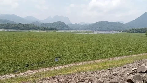 A Mountain and A Lake Stock-Footage 328643712