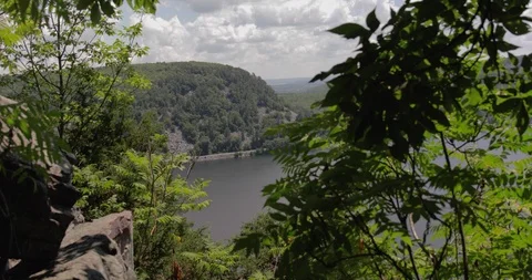 Mountain and Lake Through Trees Video stock 94499556