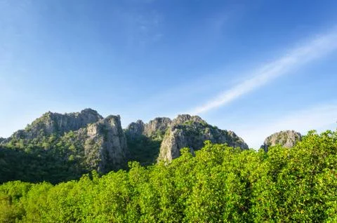 Mountain and mangrove forest Stock Photos
