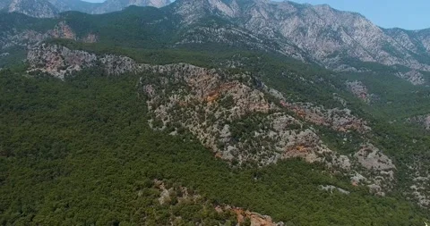 Mountain and Pine Forest 4k Aerial View Stock Footage 130606725