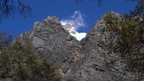 Mountain and Quenual Tree Stock Footage 73274987